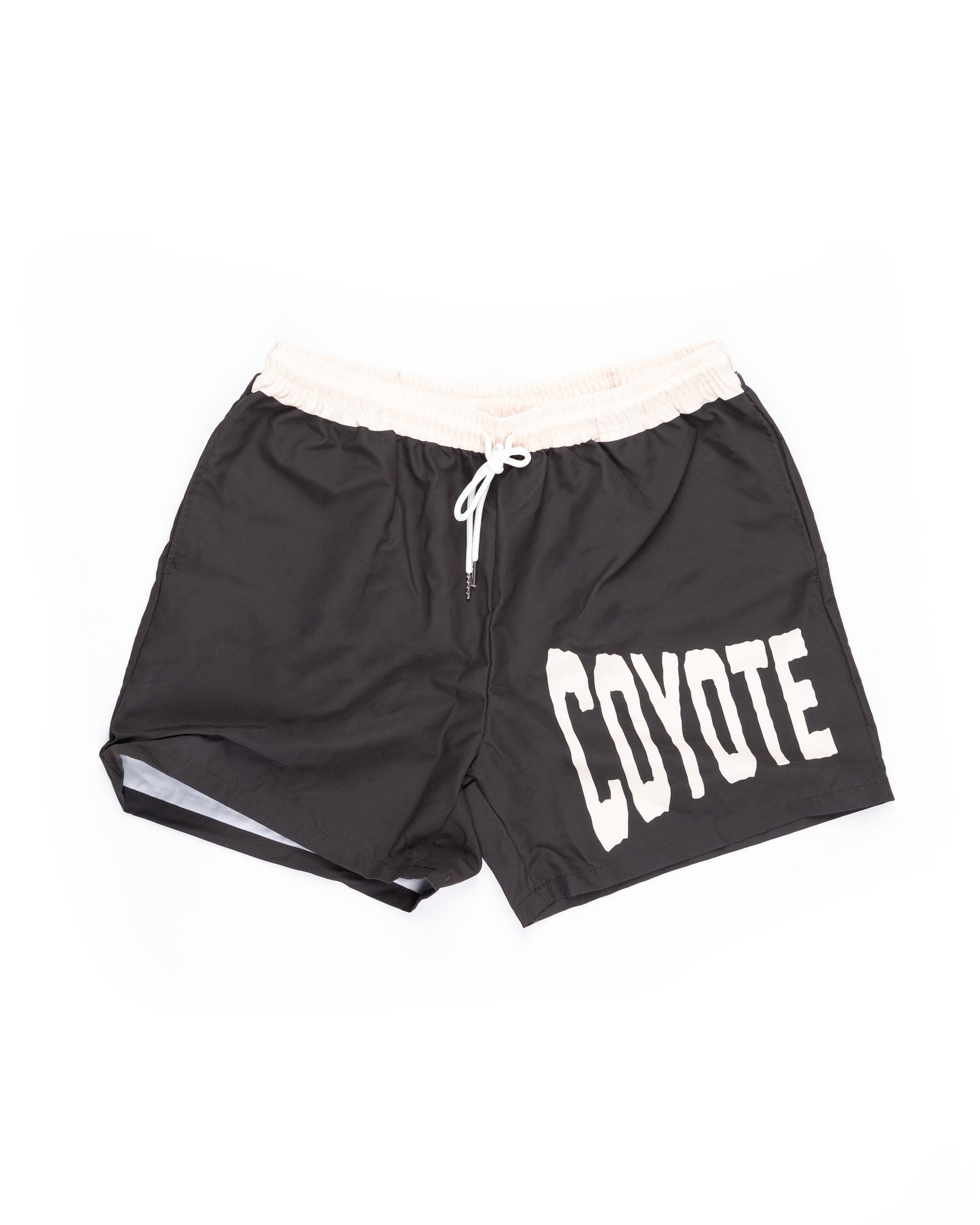 Classic Arch Logo Board Shorts